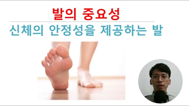신체의 안정성을 제공하는 발의 중요성