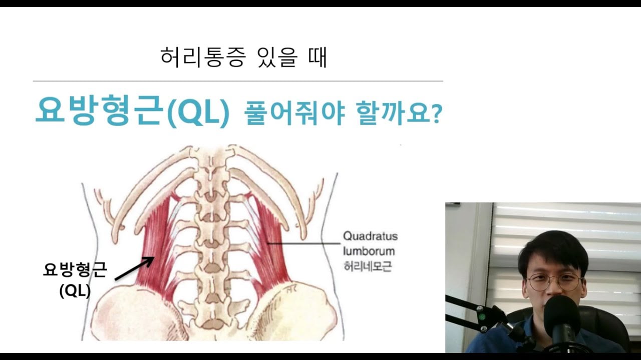 현대적 맥락에서 요통환자를 다루는 재활운동지도자가 알아야할 핵심개념