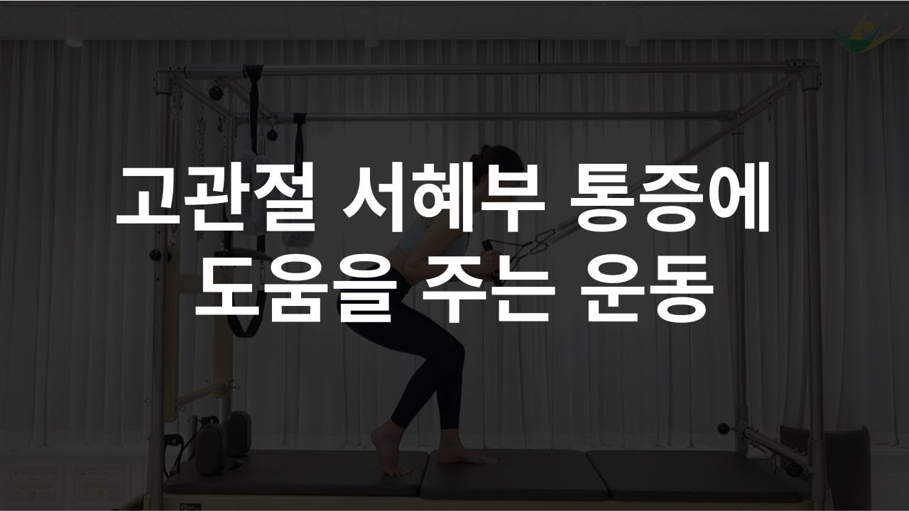 고관절 서혜부(사타구니) 통증에 도움을 주는 재활운동