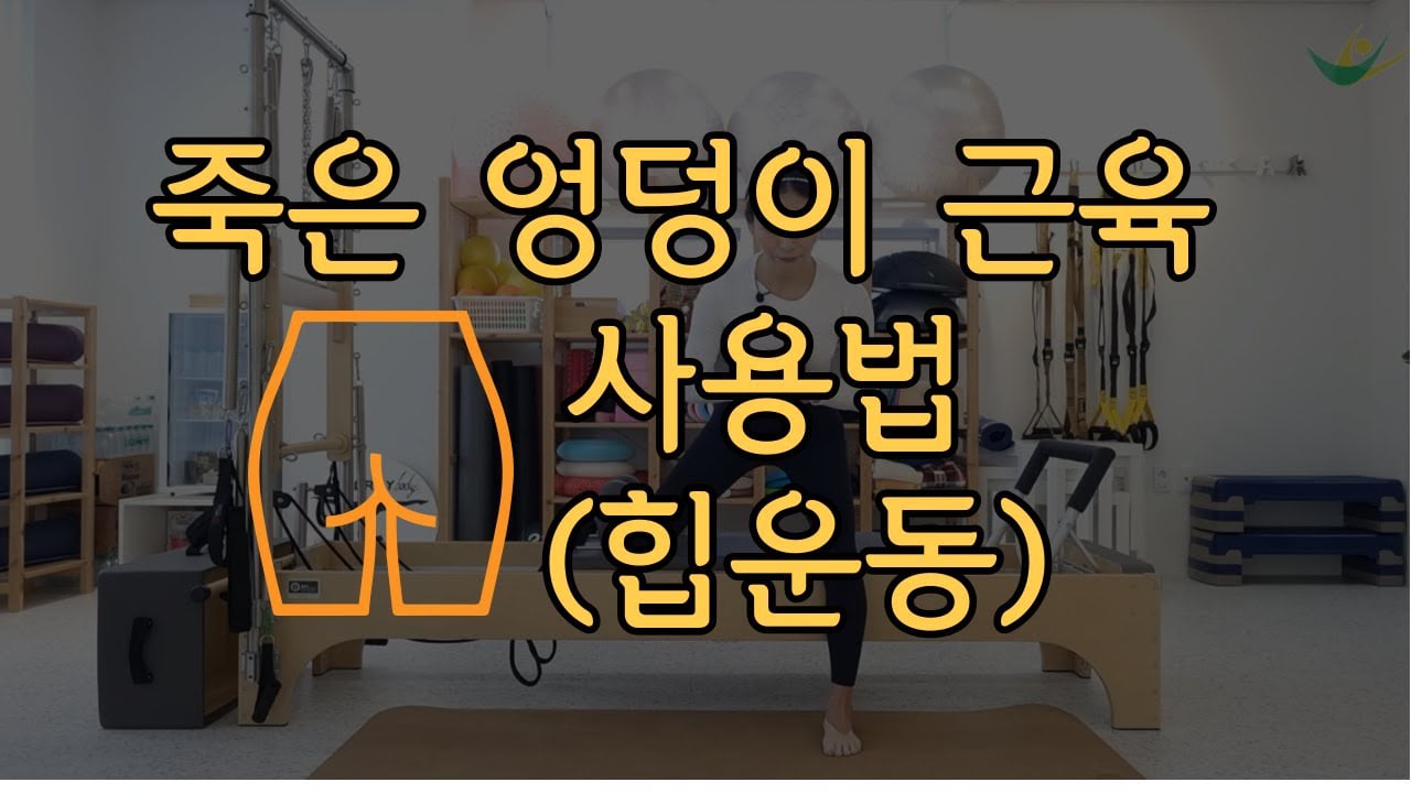 죽은 엉덩이 근육 사용법 (힙운동)