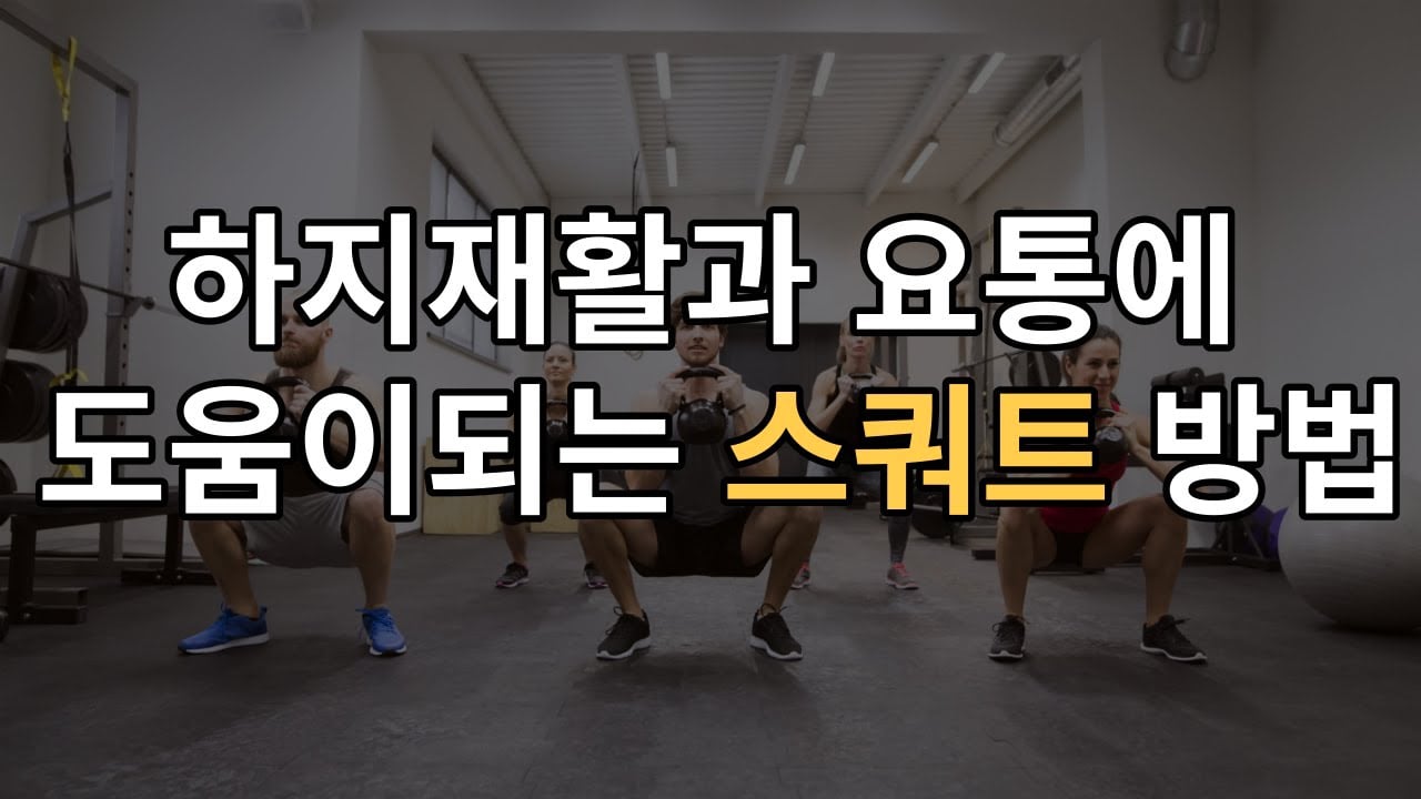 하지재활과 요통에 도움이되는 올바른 스쿼트 방법
