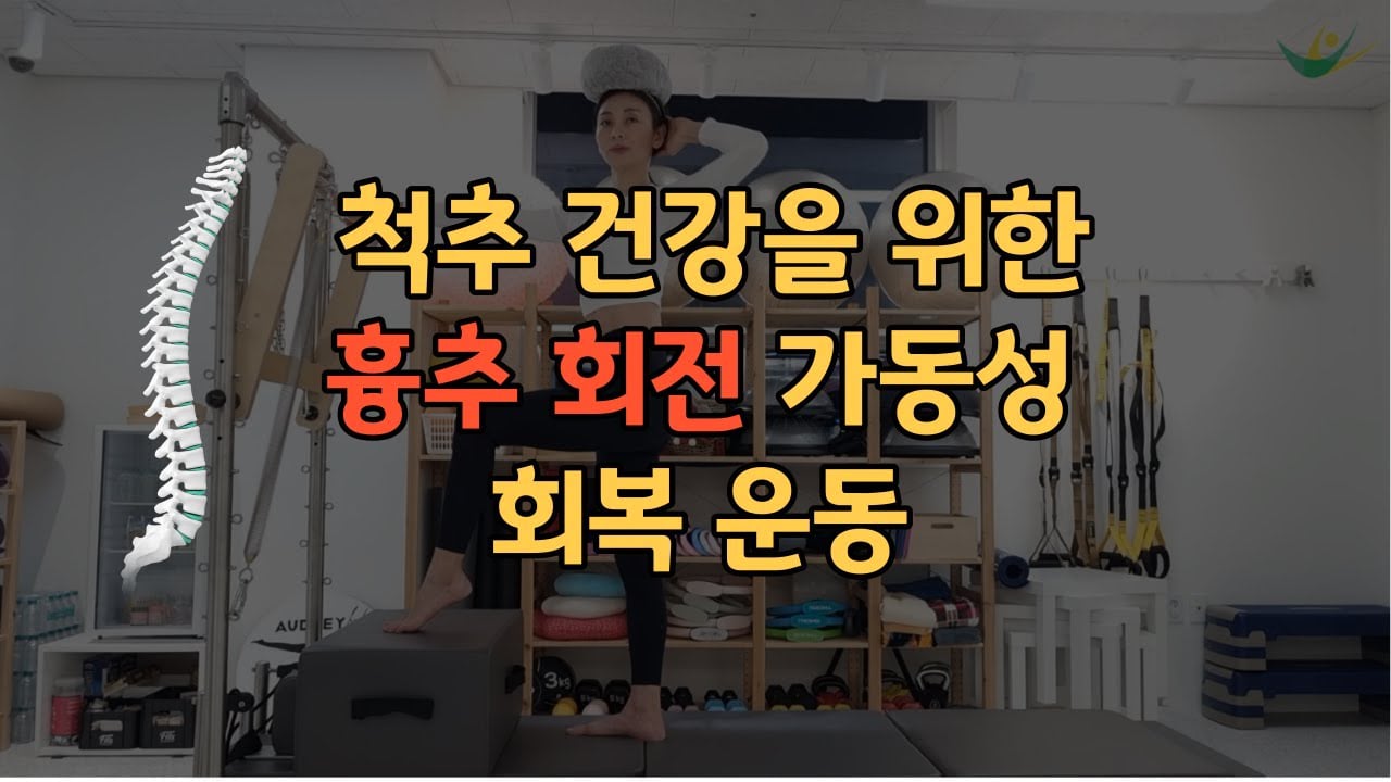 척추 건강을 위한 흉추 회전 가동성 회복 운동